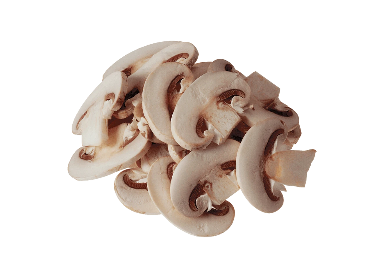 Brunner Anliker - 6mm Coarse Cut Slicing Disc - G6-5 2 Brunner Anliker - 6mm Coarse Cut Slicing Disc - G6-5 - Image 2