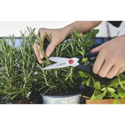 Zwilling - 7.75" TWIN Kitchen Shears -Kitchen Supplies Store 424415788 26766.1664808746