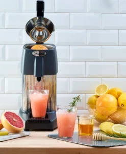 Omcan - Santos #10 Citrus Juice Extractor W/ Lever - 39687 -Kitchen Supplies Store SANTOS 10 Juicer A3 hd 41574.1707487019