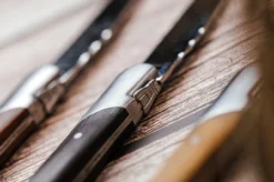 Vanderlinden - Laguiole Exclusive Line 6 Mixed Wood Steak Knives -Kitchen Supplies Store VANDERLINDEN LAGUIOLEDUMONDE STEAKKNIVESMIXEDWOOD 5 56767.1699381036