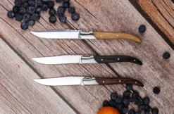 Vanderlinden - Laguiole Exclusive Line 6 Mixed Wood Steak Knives -Kitchen Supplies Store VANDERLINDEN LAGUIOLEDUMONDE STEAKKNIVESMIXEDWOOD 9 07554.1699381036