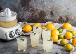 Ankarsrum - Citrus Fruit Press Attachment -Kitchen Supplies Store citrus 2020 3d7e0cec 1cc9 4457 a853 6ca0ebfbf8b1 1000x 50733.1660749899