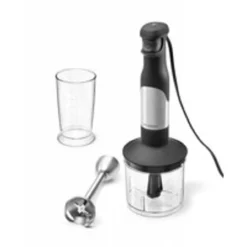 Ricardo - Immersion Blender 300 Watt